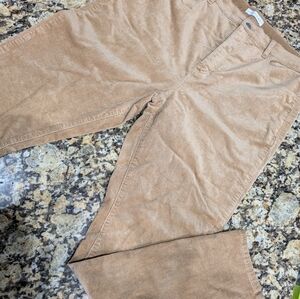 Loft light brown corderoir pants size 32/14 in good condition
